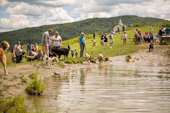Donate to help support the Dog Parties